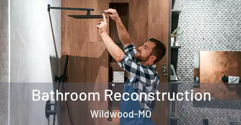 inner Bathroom imggen Bathroom Reconstruction Wildwood-MO