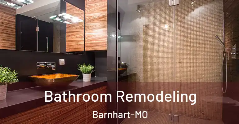 inner Bathroom imggen Bathroom Remodeling Barnhart-MO