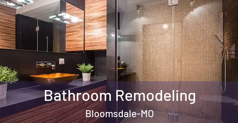 inner Bathroom imggen Bathroom Remodeling Bloomsdale-MO
