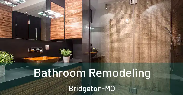 inner Bathroom imggen Bathroom Remodeling Bridgeton-MO
