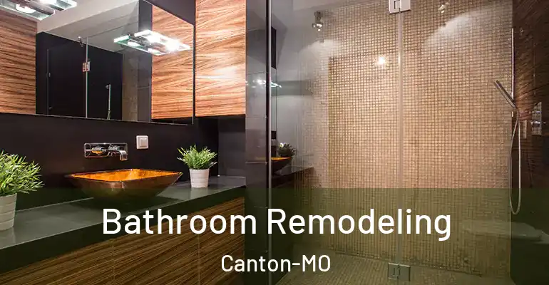 inner Bathroom imggen Bathroom Remodeling Canton-MO
