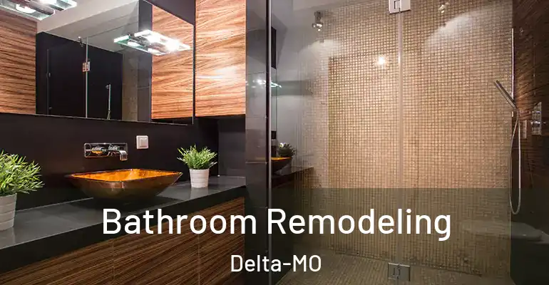 inner Bathroom imggen Bathroom Remodeling Delta-MO