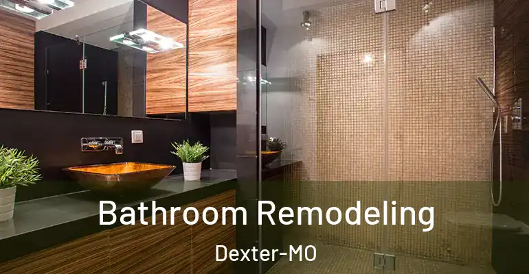 inner Bathroom imggen Bathroom Remodeling Dexter-MO