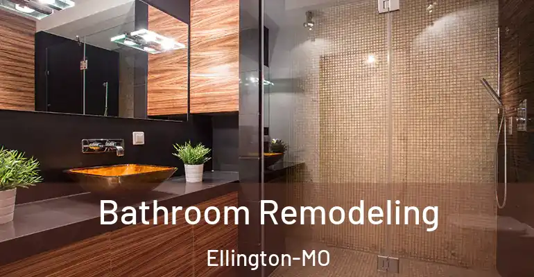 inner Bathroom imggen Bathroom Remodeling Ellington-MO