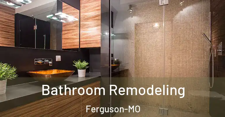 inner Bathroom imggen Bathroom Remodeling Ferguson-MO