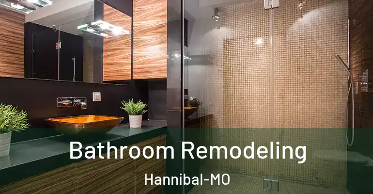 inner Bathroom imggen Bathroom Remodeling Hannibal-MO
