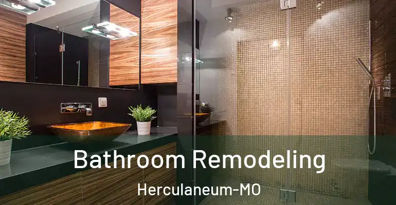 inner Bathroom imggen Bathroom Remodeling Herculaneum-MO