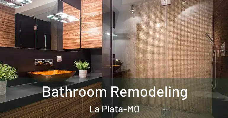 inner Bathroom imggen Bathroom Remodeling La Plata-MO