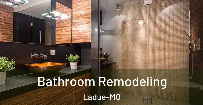 inner Bathroom imggen Bathroom Remodeling Ladue-MO