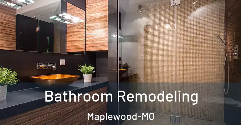 inner Bathroom imggen Bathroom Remodeling Maplewood-MO