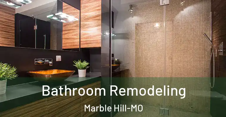 inner Bathroom imggen Bathroom Remodeling Marble Hill-MO