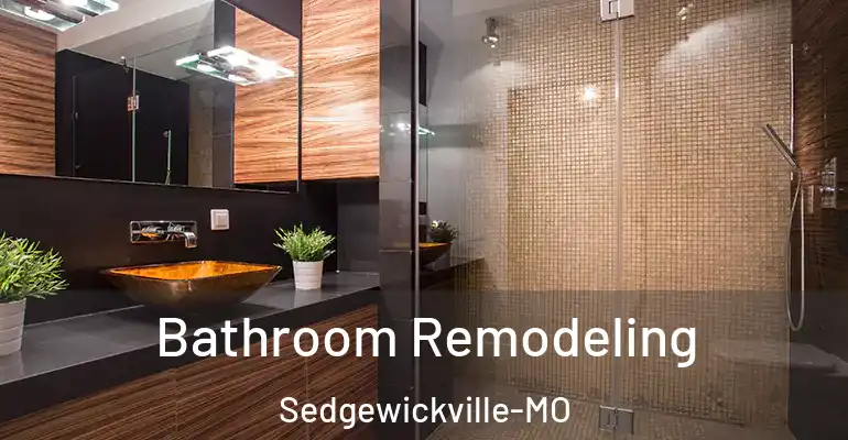 inner Bathroom imggen Bathroom Remodeling Sedgewickville-MO
