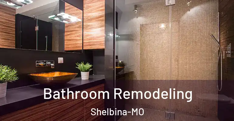 inner Bathroom imggen Bathroom Remodeling Shelbina-MO