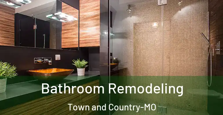 inner Bathroom imggen Bathroom Remodeling Town and Country-MO