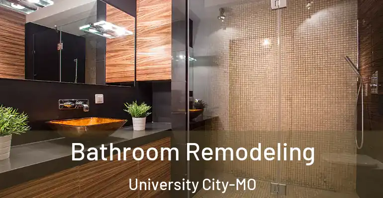 inner Bathroom imggen Bathroom Remodeling University City-MO