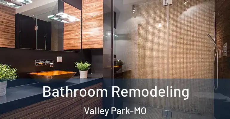 inner Bathroom imggen Bathroom Remodeling Valley Park-MO