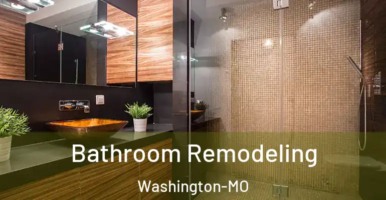 inner Bathroom imggen Bathroom Remodeling Washington-MO