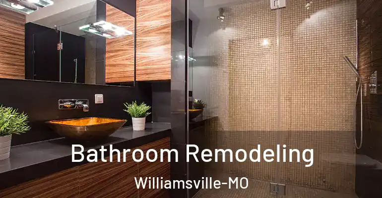 inner Bathroom imggen Bathroom Remodeling Williamsville-MO