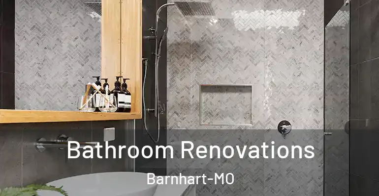 inner Bathroom imggen Bathroom Renovations Barnhart-MO