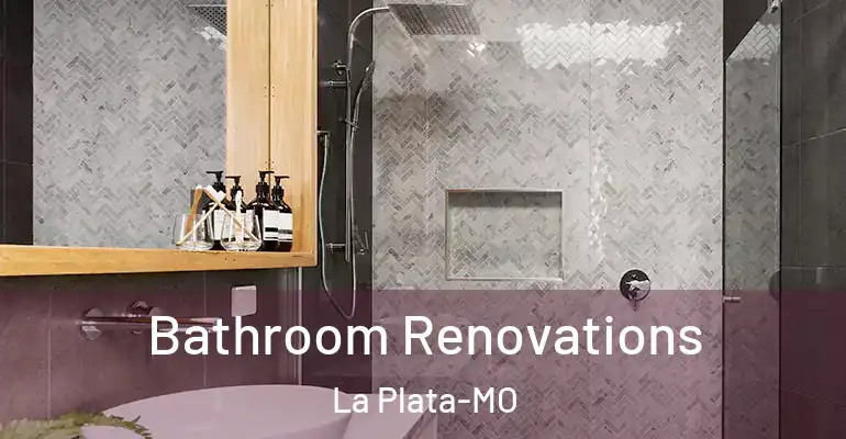 inner Bathroom imggen Bathroom Renovations La Plata-MO