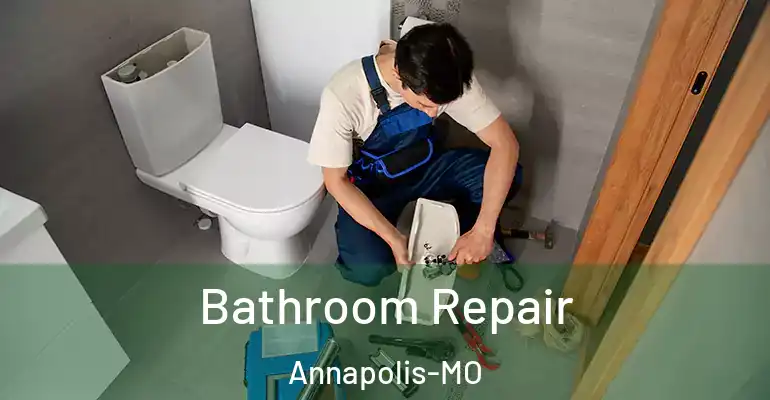inner Bathroom imggen Bathroom Repair Annapolis-MO