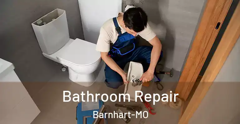 inner Bathroom imggen Bathroom Repair Barnhart-MO