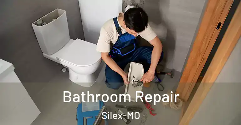 inner Bathroom imggen Bathroom Repair Silex-MO