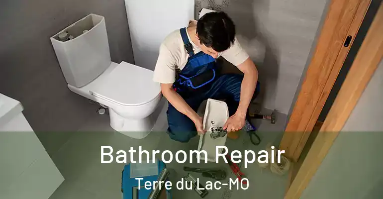 inner Bathroom imggen Bathroom Repair Terre du Lac-MO