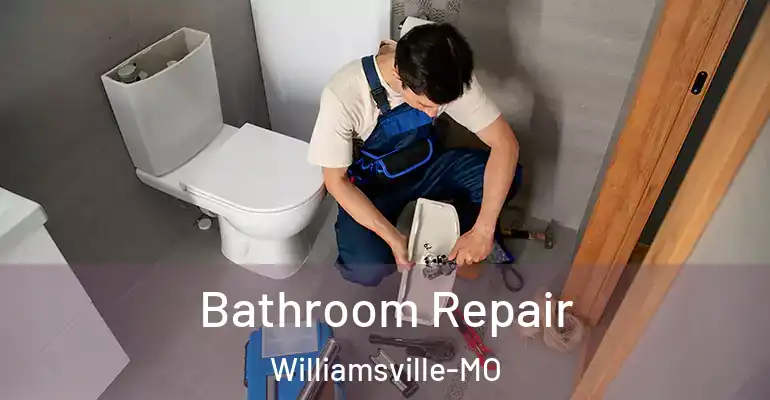 inner Bathroom imggen Bathroom Repair Williamsville-MO
