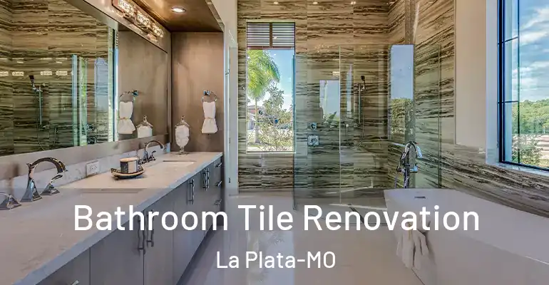inner Bathroom imggen Bathroom Tile Renovation La Plata-MO
