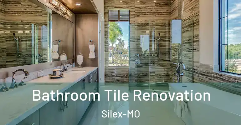 inner Bathroom imggen Bathroom Tile Renovation Silex-MO