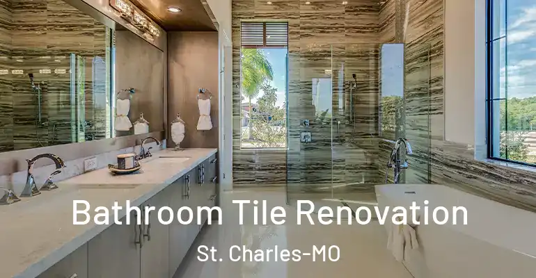 inner Bathroom imggen Bathroom Tile Renovation St. Charles-MO
