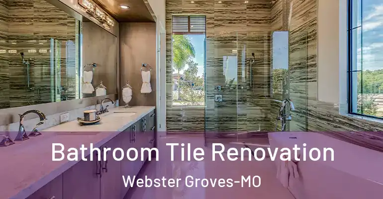 inner Bathroom imggen Bathroom Tile Renovation Webster Groves-MO