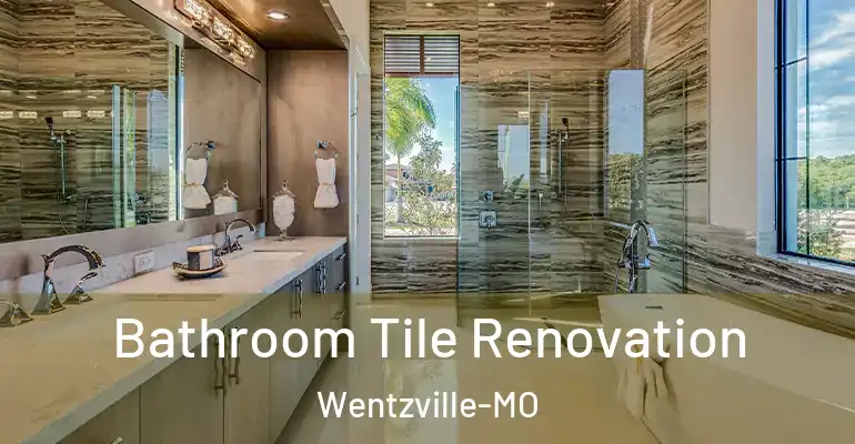 inner Bathroom imggen Bathroom Tile Renovation Wentzville-MO