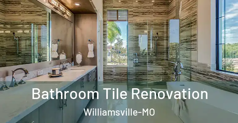 inner Bathroom imggen Bathroom Tile Renovation Williamsville-MO