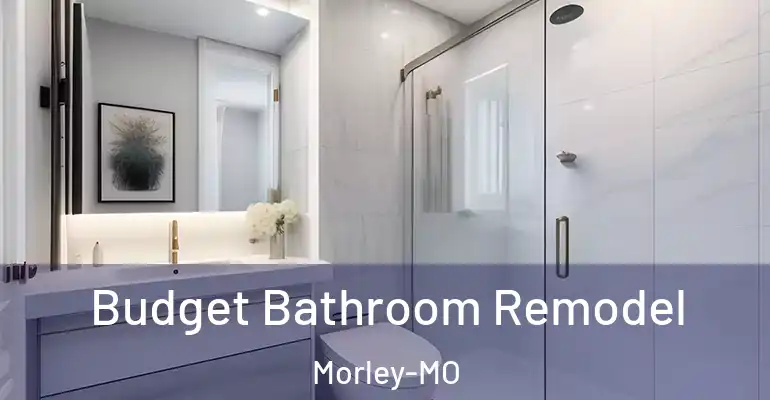 inner Bathroom imggen Budget Bathroom Remodel Morley-MO