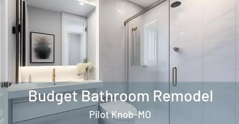 inner Bathroom imggen Budget Bathroom Remodel Pilot Knob-MO