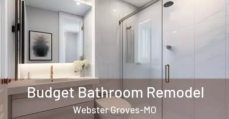 inner Bathroom imggen Budget Bathroom Remodel Webster Groves-MO