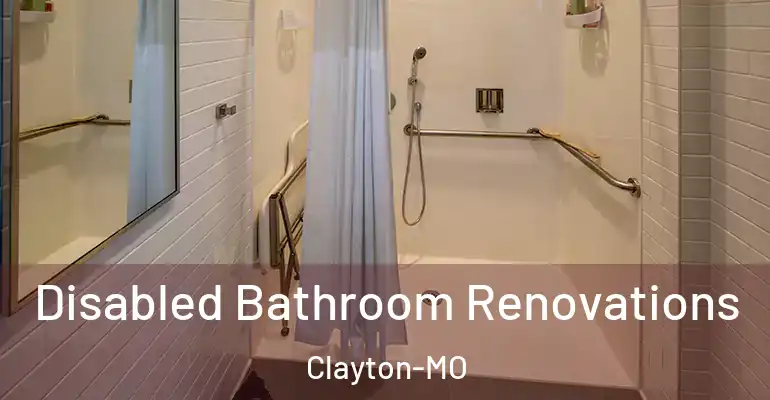 inner Bathroom imggen Disabled Bathroom Renovations Clayton-MO
