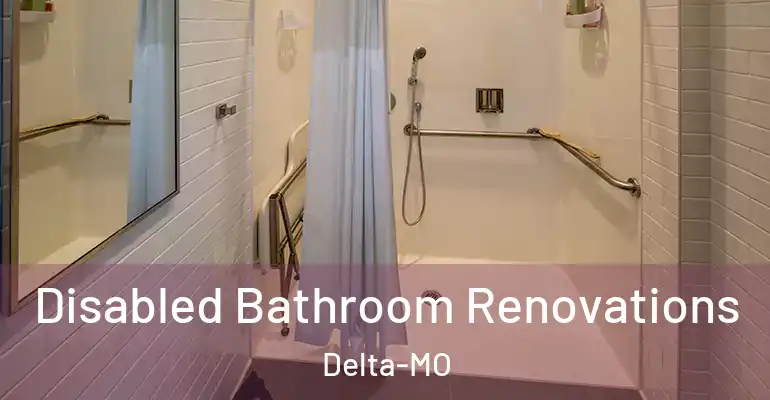 inner Bathroom imggen Disabled Bathroom Renovations Delta-MO