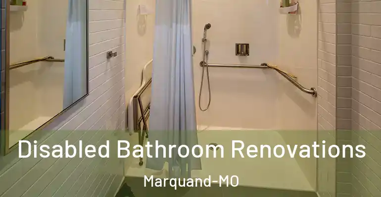 inner Bathroom imggen Disabled Bathroom Renovations Marquand-MO