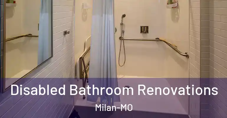 inner Bathroom imggen Disabled Bathroom Renovations Milan-MO