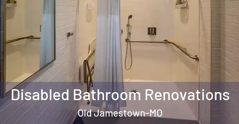 inner Bathroom imggen Disabled Bathroom Renovations Old Jamestown-MO
