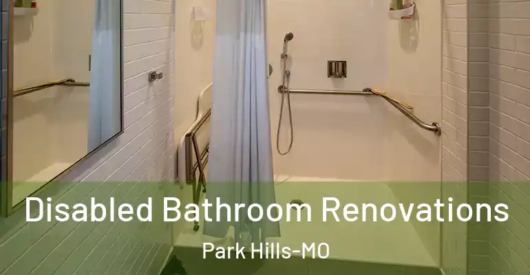 inner Bathroom imggen Disabled Bathroom Renovations Park Hills-MO