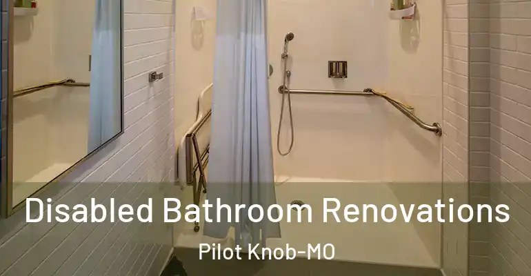 inner Bathroom imggen Disabled Bathroom Renovations Pilot Knob-MO