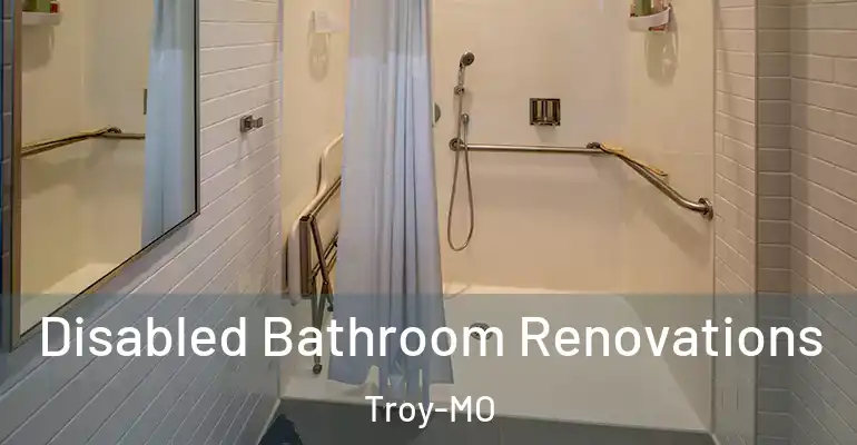 inner Bathroom imggen Disabled Bathroom Renovations Troy-MO