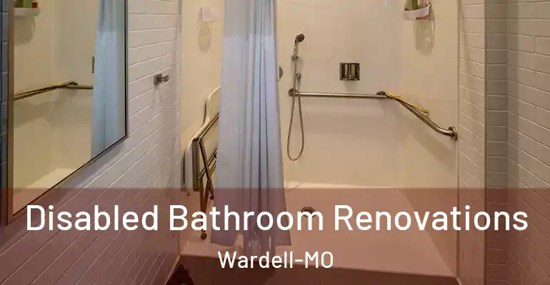 inner Bathroom imggen Disabled Bathroom Renovations Wardell-MO