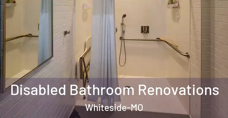 inner Bathroom imggen Disabled Bathroom Renovations Whiteside-MO