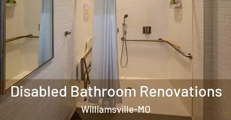 inner Bathroom imggen Disabled Bathroom Renovations Williamsville-MO
