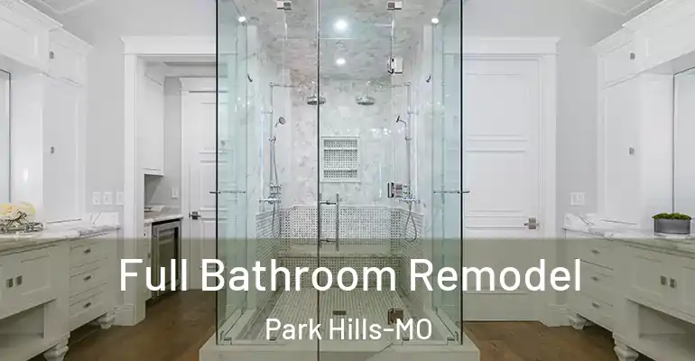 inner Bathroom imggen Full Bathroom Remodel Park Hills-MO